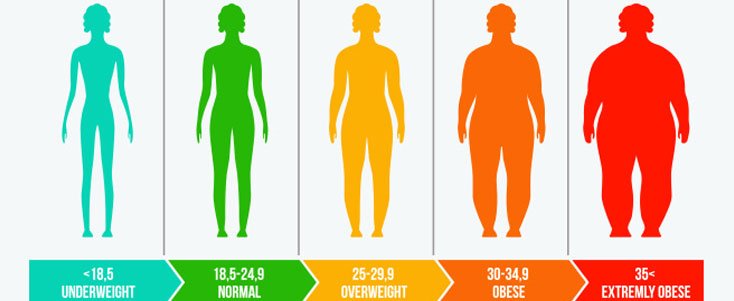 How Genetics And BMI is Connected | Genetic BMI Connection
